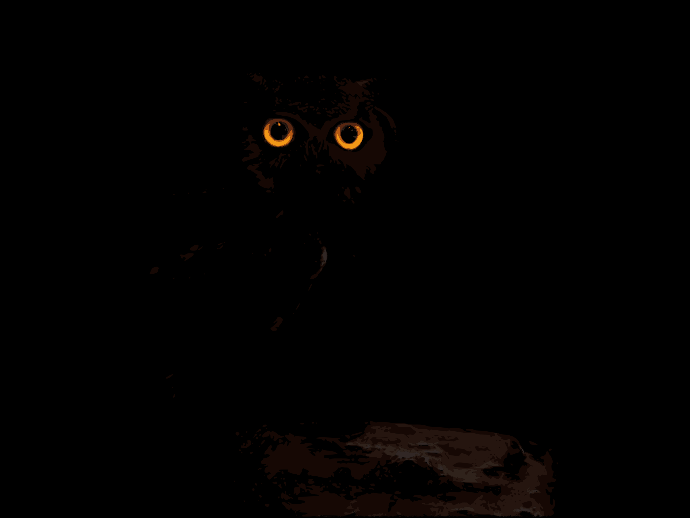 Dark Owl Wallpapers - Top Free Dark Owl Backgrounds - WallpaperAccess