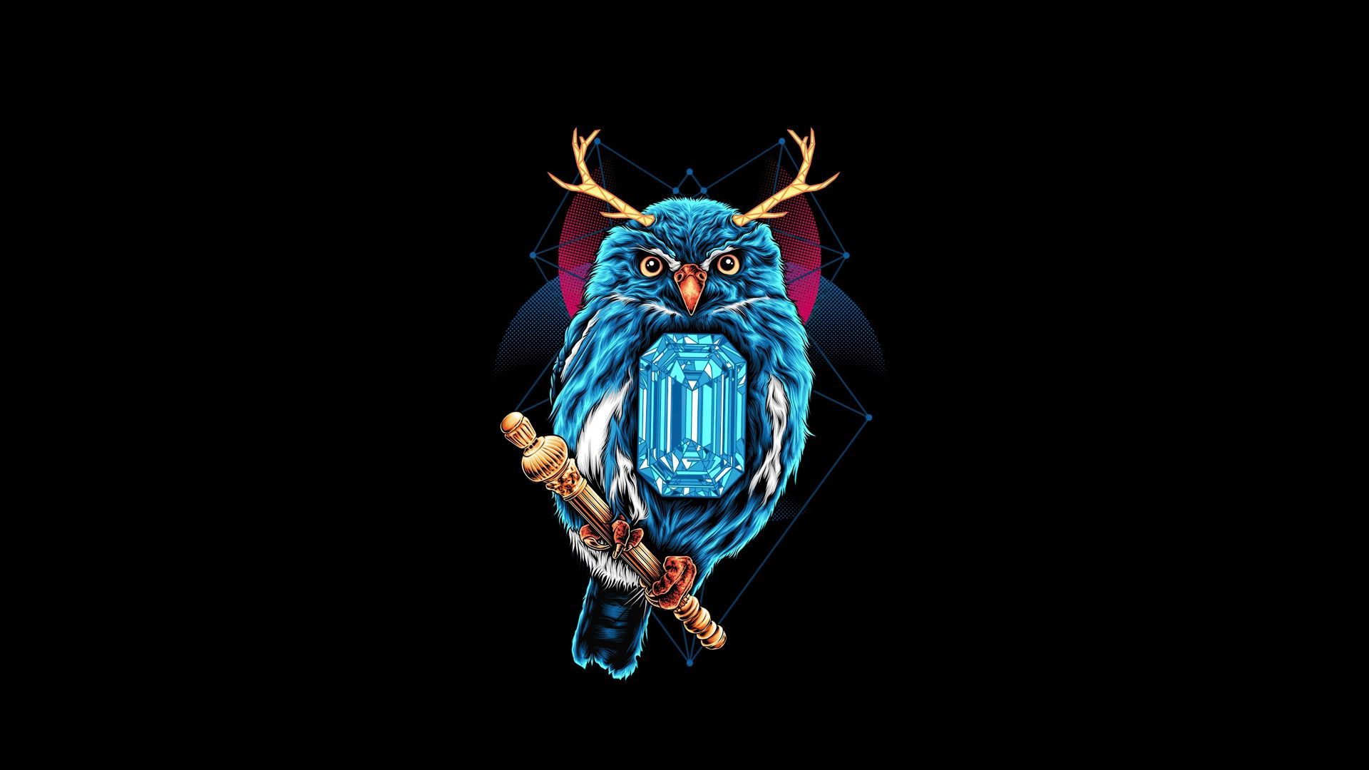 owl HD wallpaper, desktop pc, laptop, mac, iphone, ipad, android mobiles, tablets, windows phone