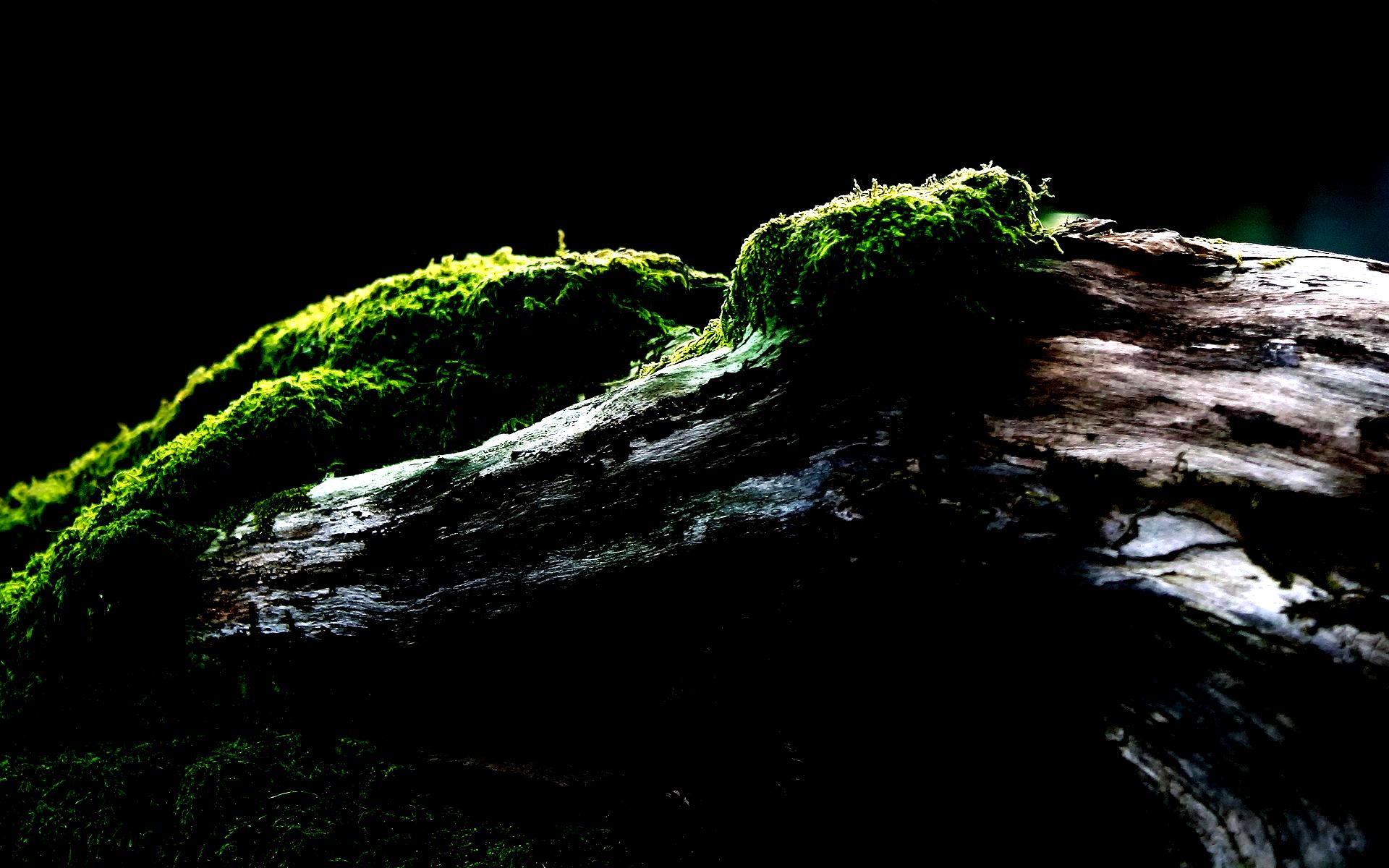 1920x1200 Oled Wallpapers - Wallpaper Cave