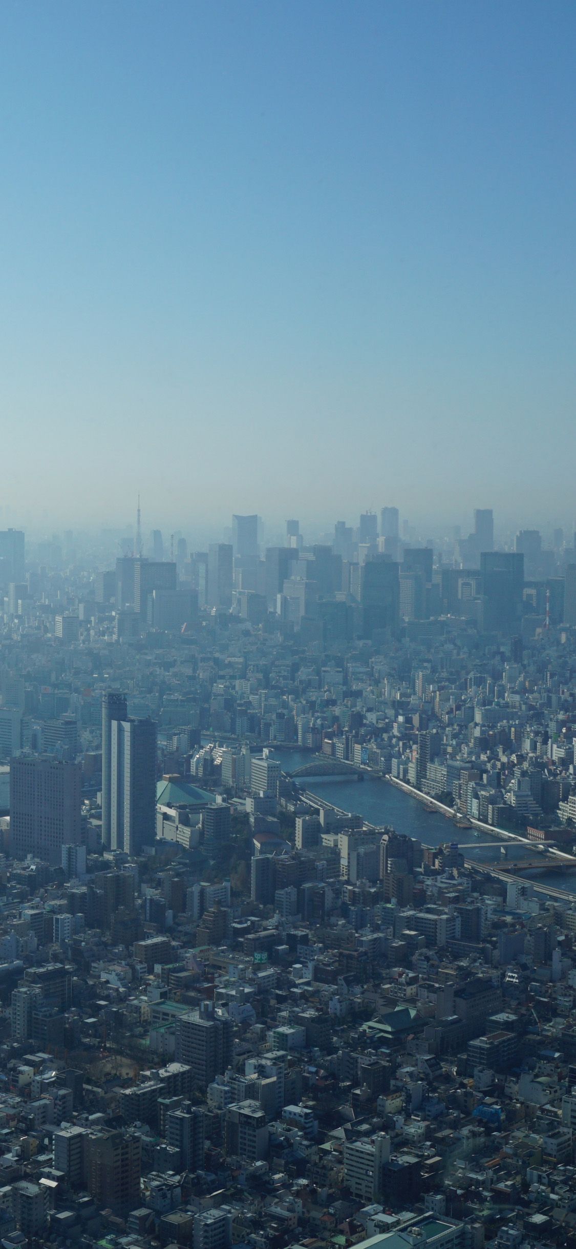 Philadelphia Skyline iPhone Wallpapers Wallpaper Cave