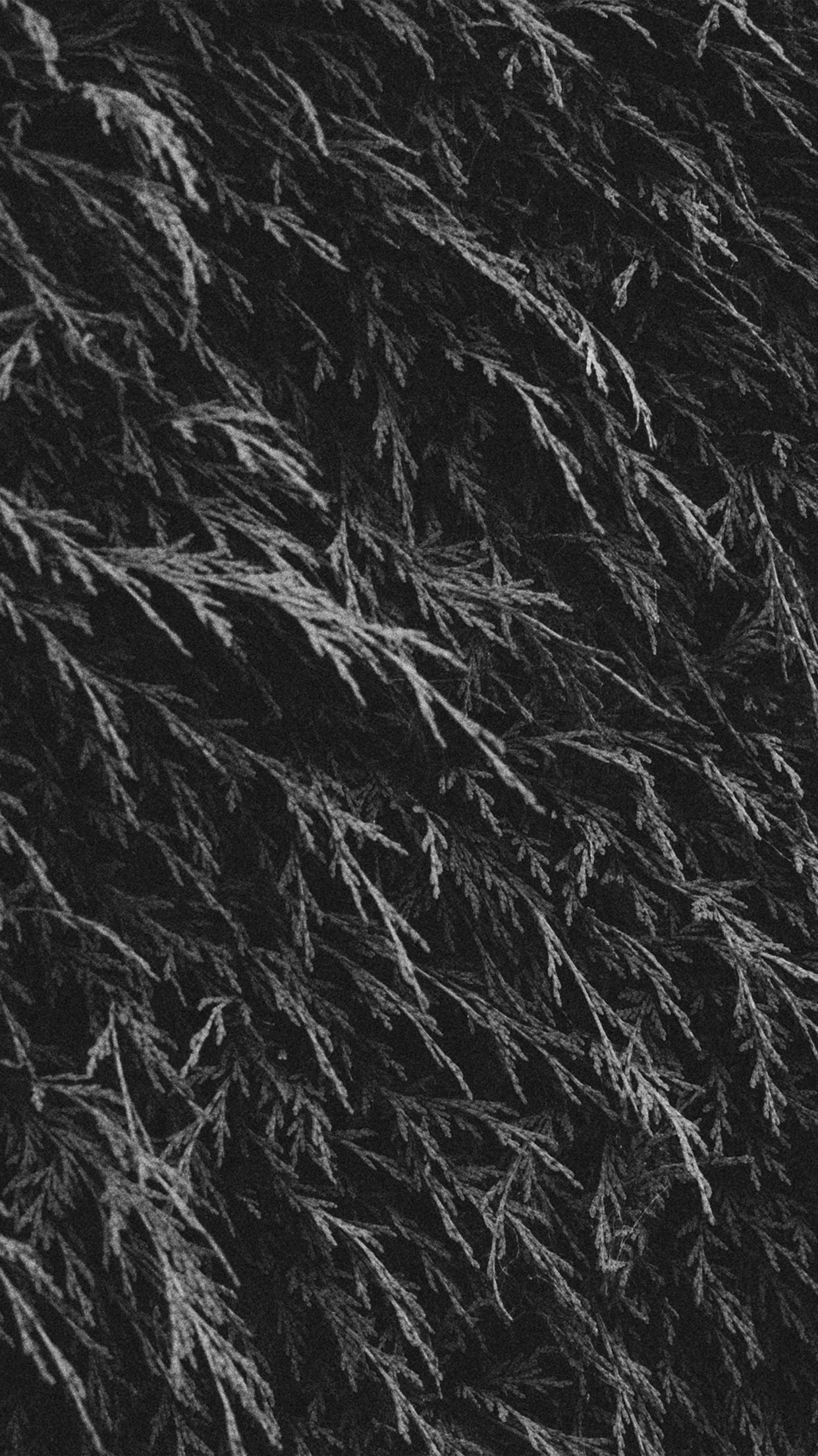 Tree Green Leaf Summer Pattern Nature Dark Bw Android wallpaper HD wallpaper