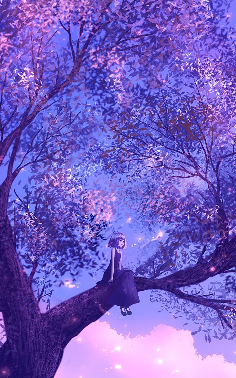 Anime Girl Sitting On Purple Big Tree 4k Nexus Samsung Galaxy Tab Note Android Tablets HD 4k Wallpaper, Image, Background, Photo and Picture