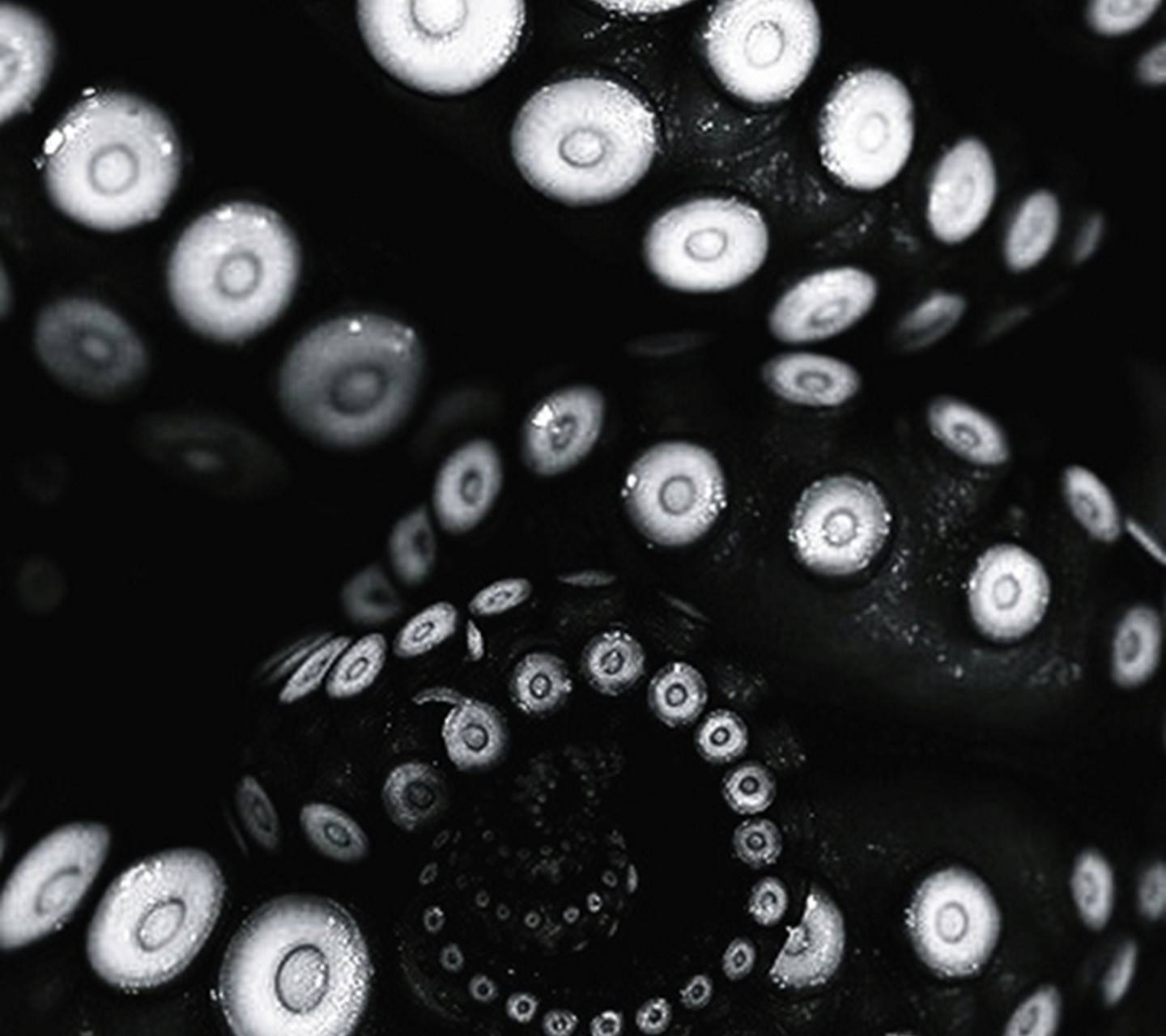Black tentacles wallpaper