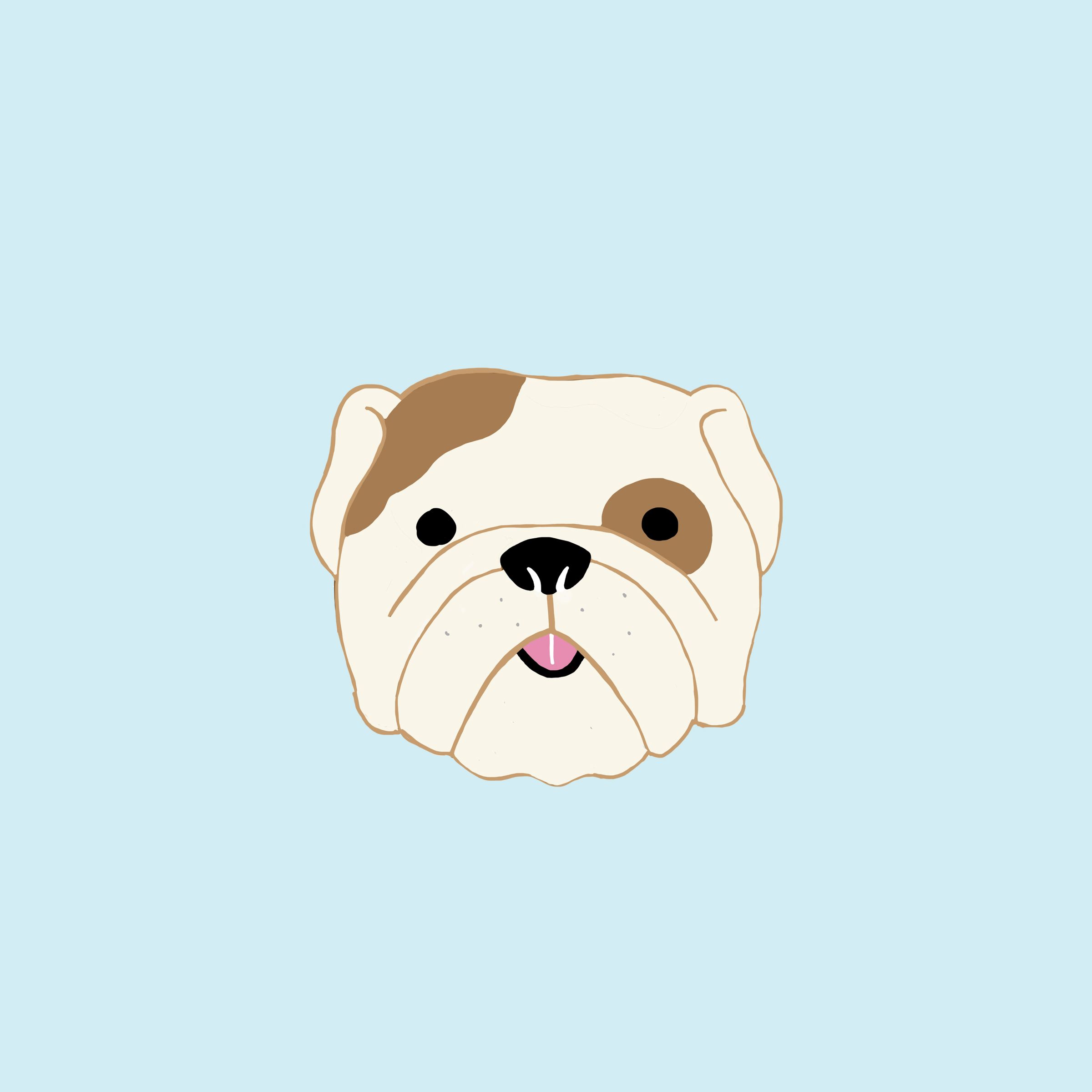 English Bulldog / Illustration by Es Súper Fun. Bulldog art, Dog illustration, Bulldog wallpaper