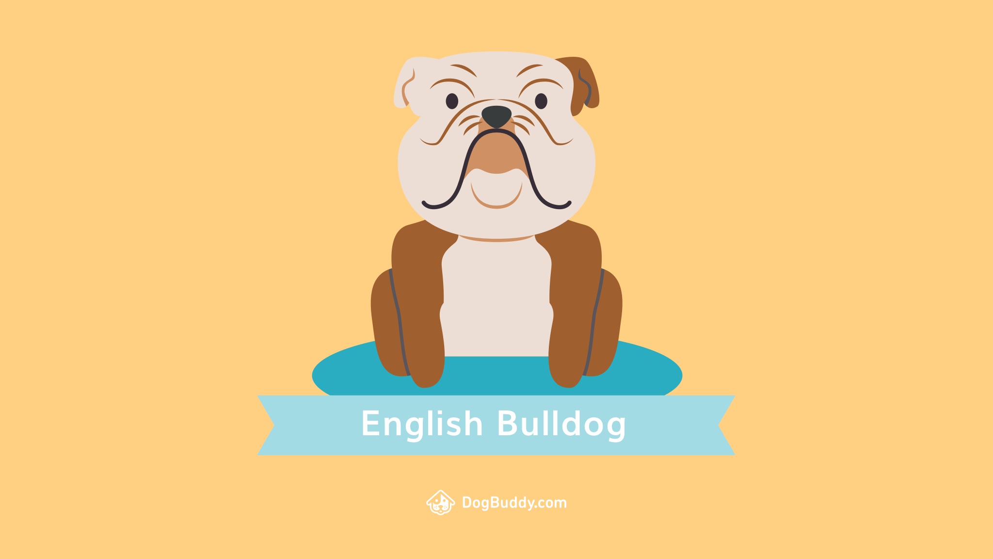 Woofpaper: English Bulldog