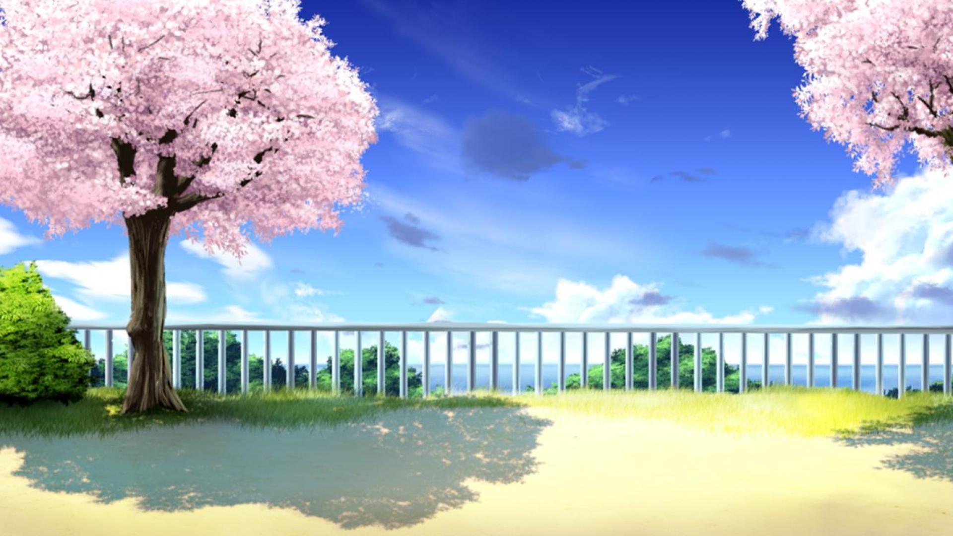 Cherry Blossoms Anime Scenery .wallpaperaccess.com