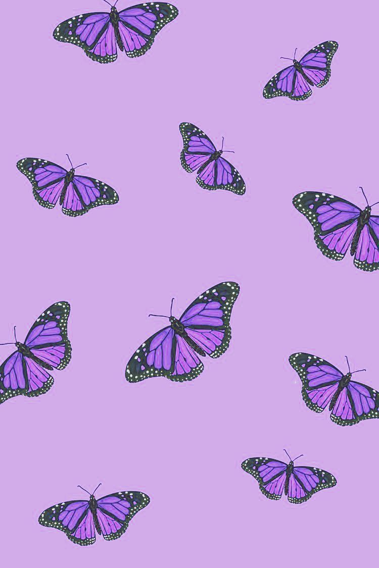 Purple Butterfly Wallpaper. Purple butterfly wallpaper, Purple aesthetic background, Purple aesthetic