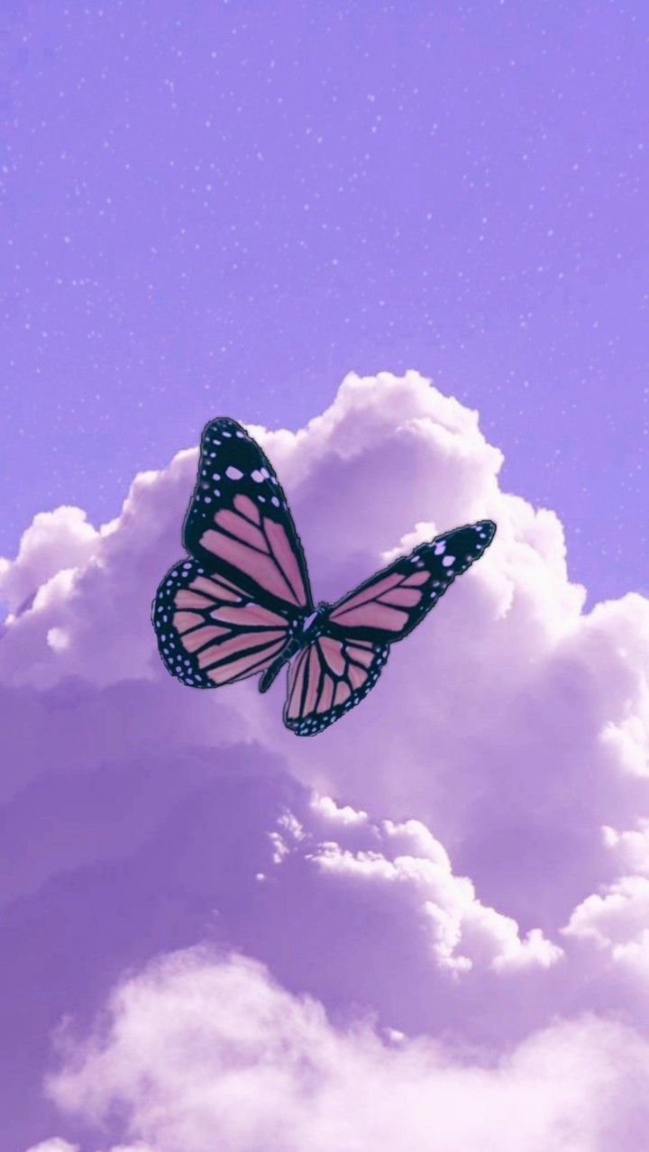 purple wallpaper butterfly