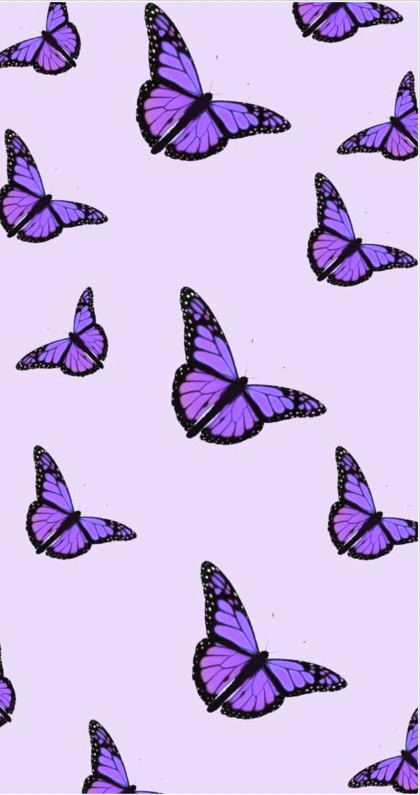 Purple butterfly aesthetic. Butterfly wallpaper, Purple butterfly wallpaper, Butterfly wallpaper iphone