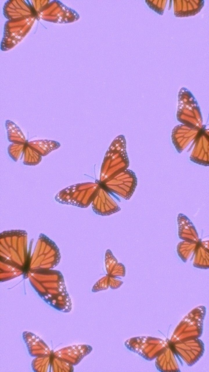 Purple Butterfly Wallpaper Aesthetic