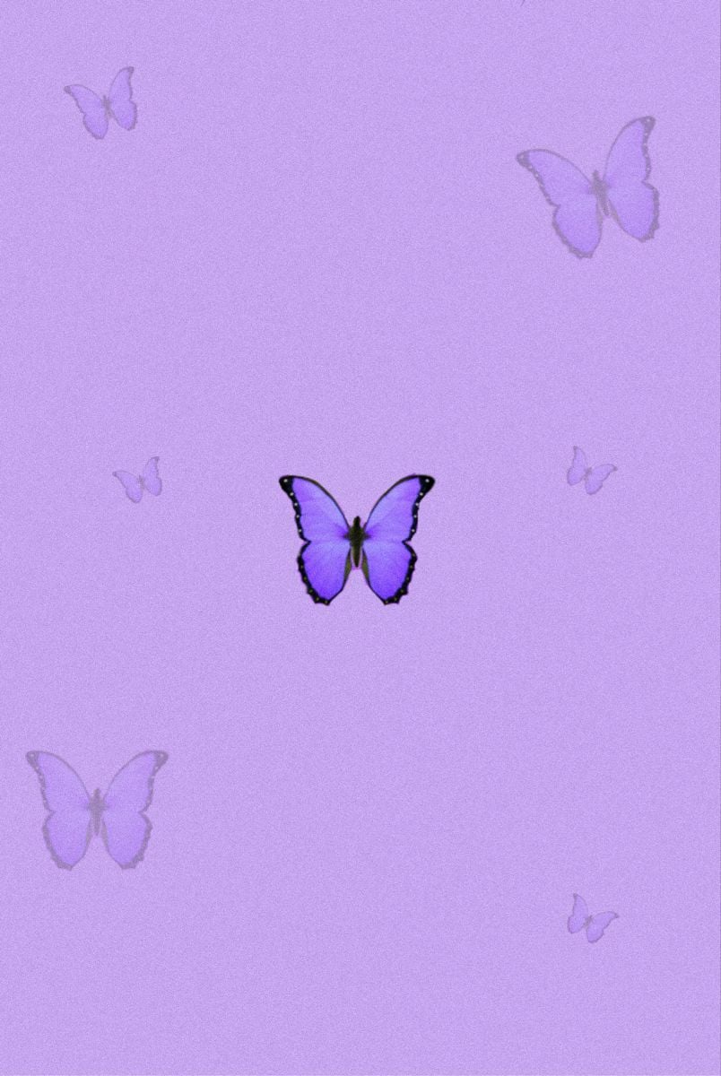 aesthetic purple butterfly✨