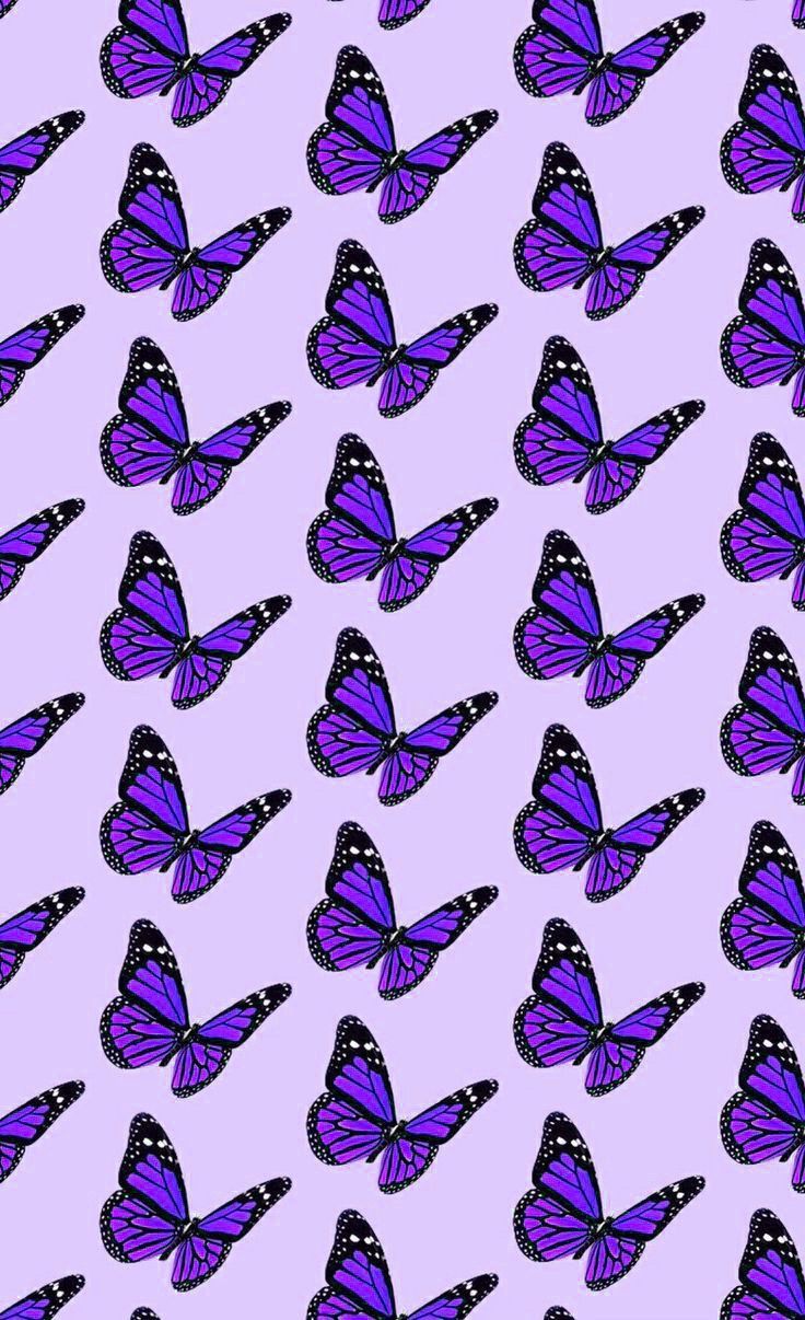 butterfly wallpaper. Butterfly wallpaper iphone, Butterfly wallpaper, Purple wallpaper iphone