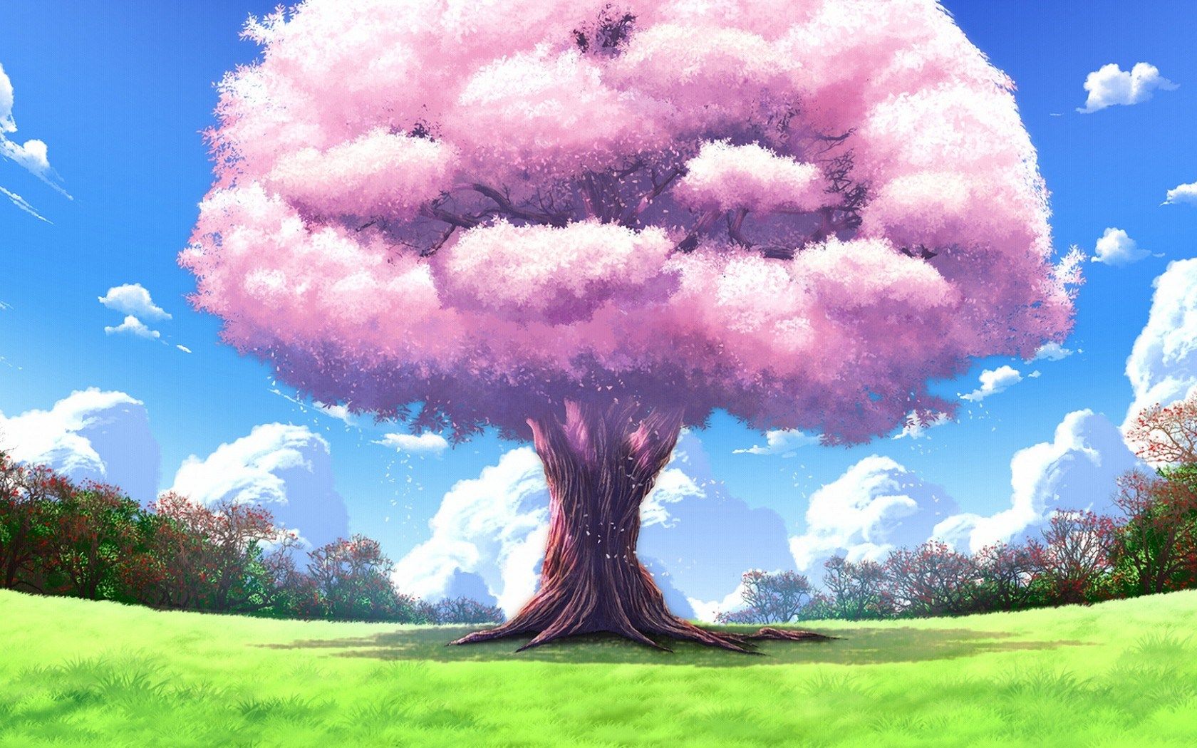 Nice cherry tree anime landscape desktop wallpaper