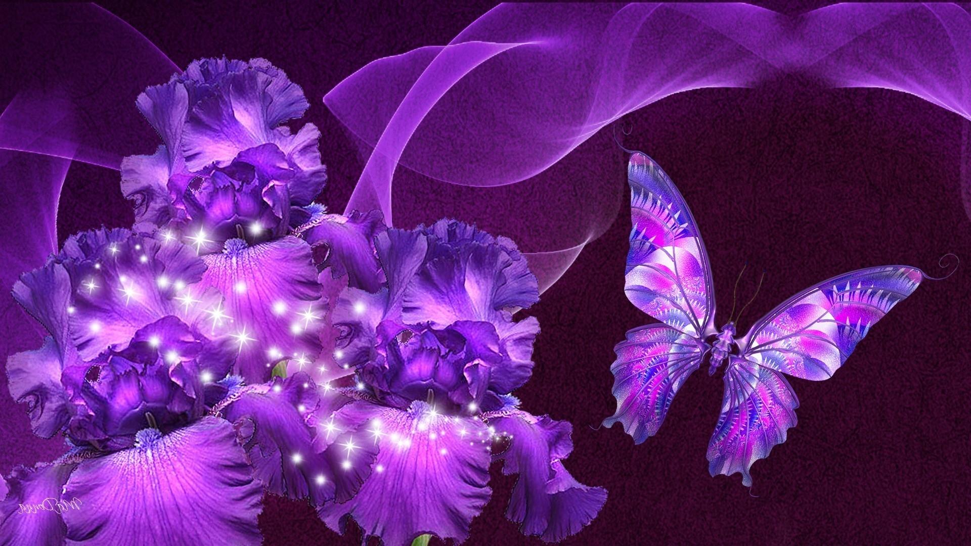 Purple Beautiful Wallpaper Butterfly Image