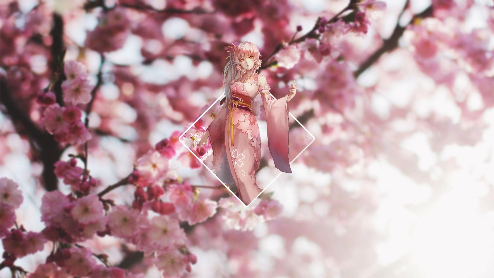 landscape, Cherry blossom, Anime girls, Blurred Wallpaper HD / Desktop and Mobile Background