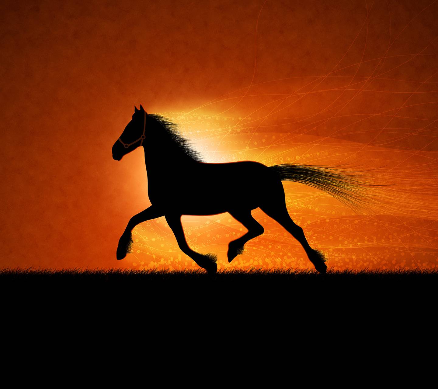 Horse and the sunset wallpaper