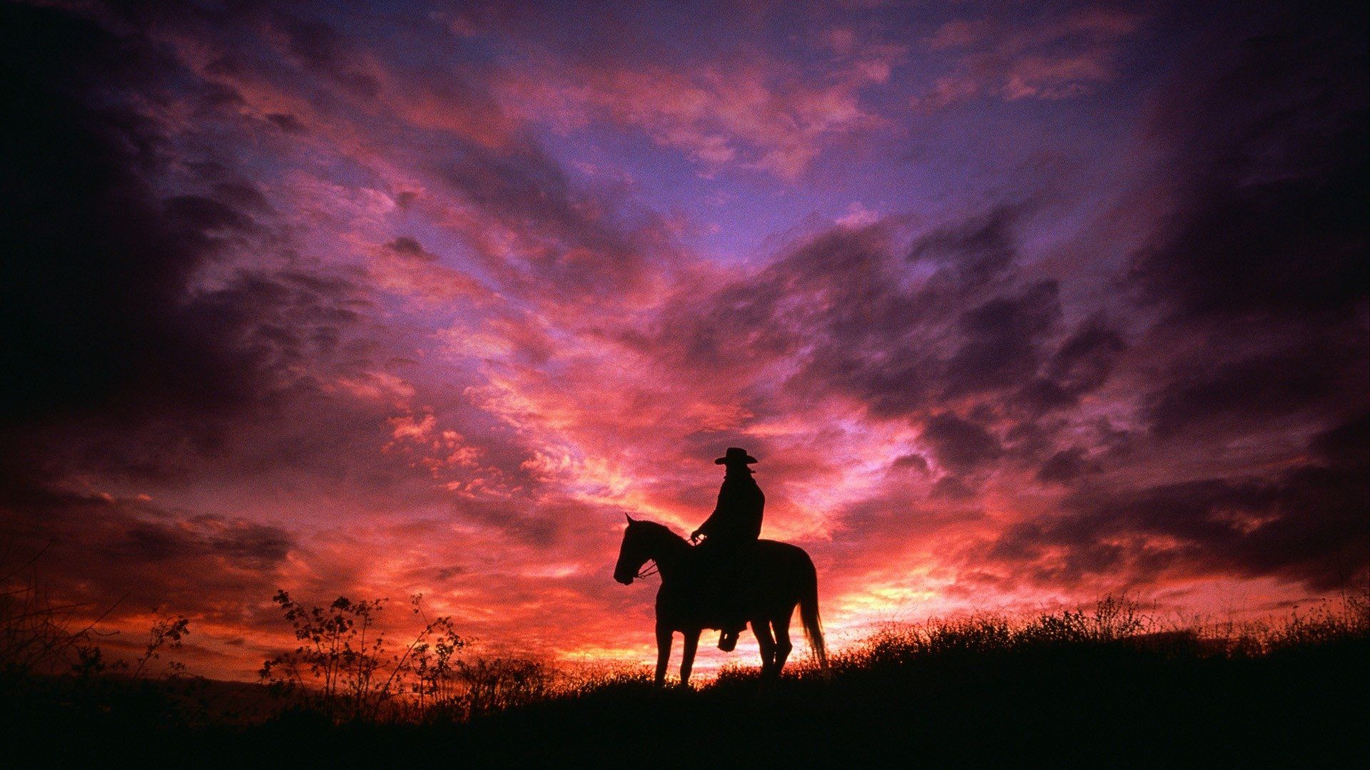 Title Cowboy On His Horse In Sunset Silhouette On Horse Silhouette Sunset HD Wallpaper