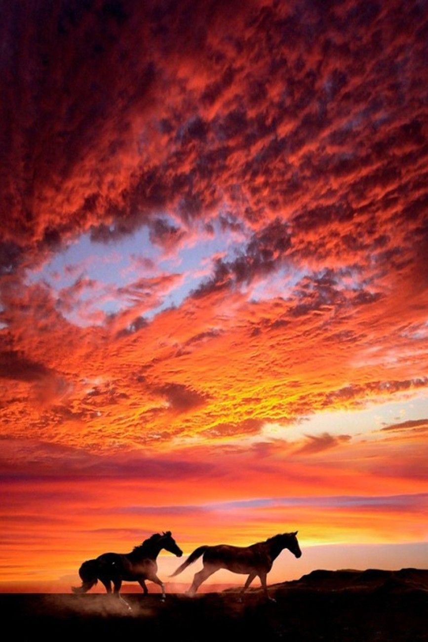 Sunset Horses Clouds Sunset Horse