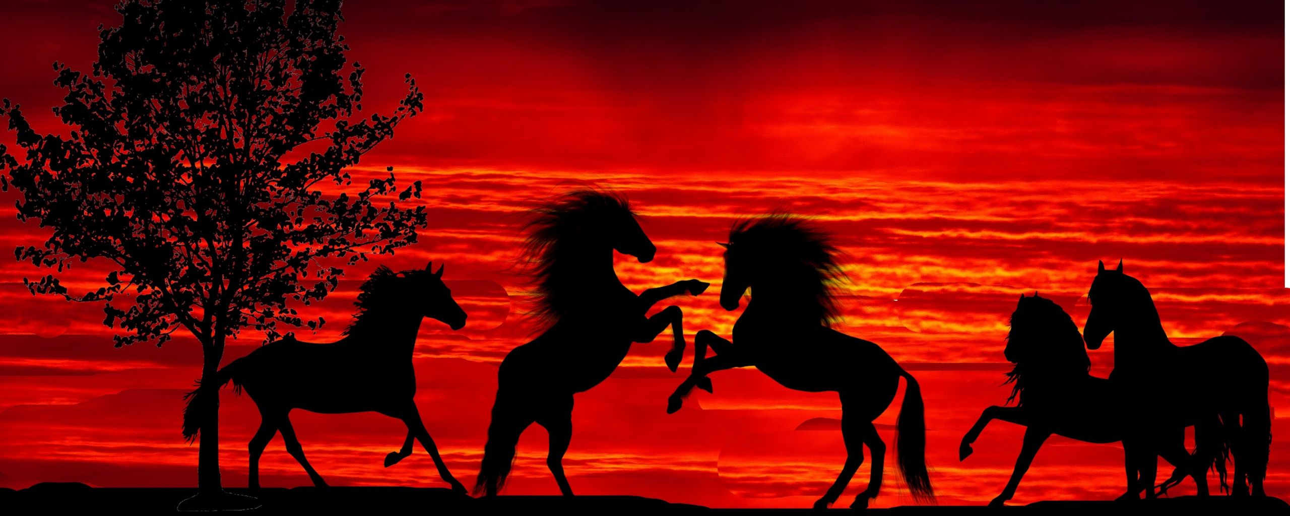 Download 2560x1024 wallpaper sunset, silhouette, horses, herd, dual wide, wide 21: widescreen, 2560x1024 HD image, background, 15521