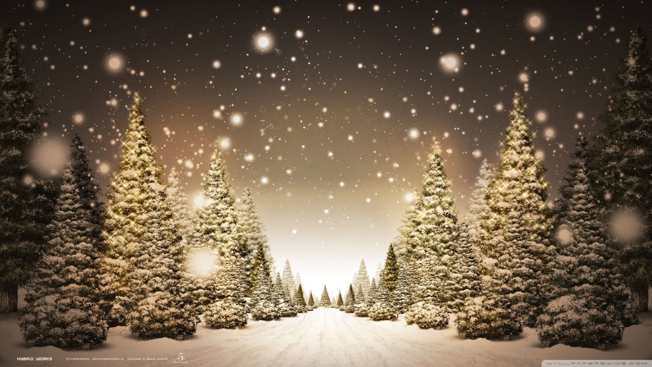 Christmas Trees And Snow