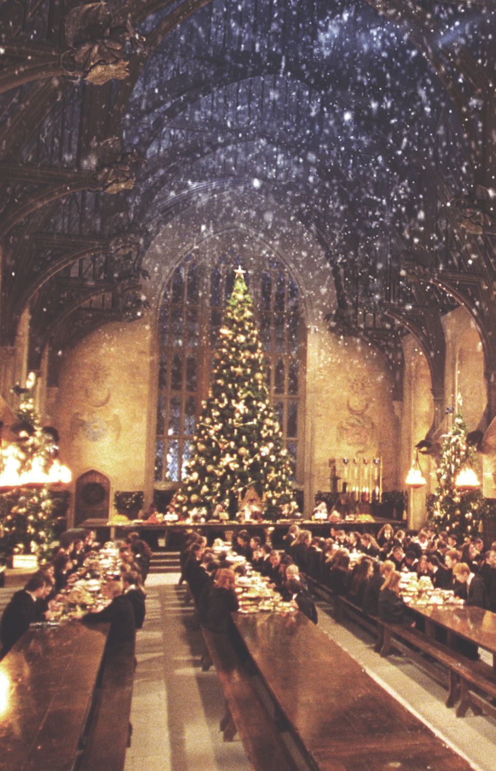 Holiday season at Hogwarts seems so irresistibly magical. Harry potter christmas, Hogwarts christmas, Harry potter