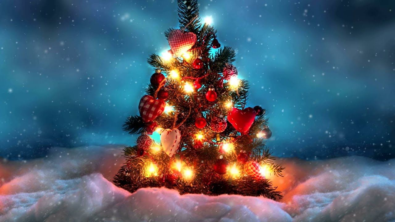 Free download Christmas Tree Live Wallpaper [1280x720] for your Desktop, Mobile & Tablet. Explore Xmas Tree Wallpaper. Christmas Wallpaper For Desktop, Windows 7 Xmas Wallpaper, Free Xmas Wallpaper Desktop Themes