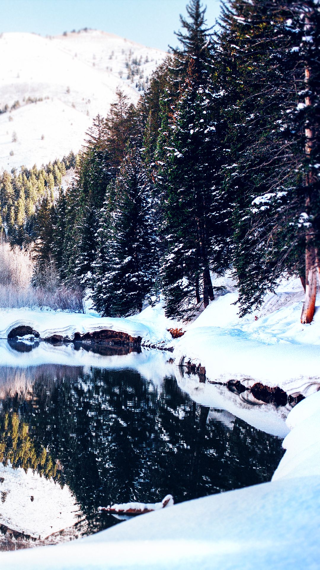 Winter Wallpaper Phone HD