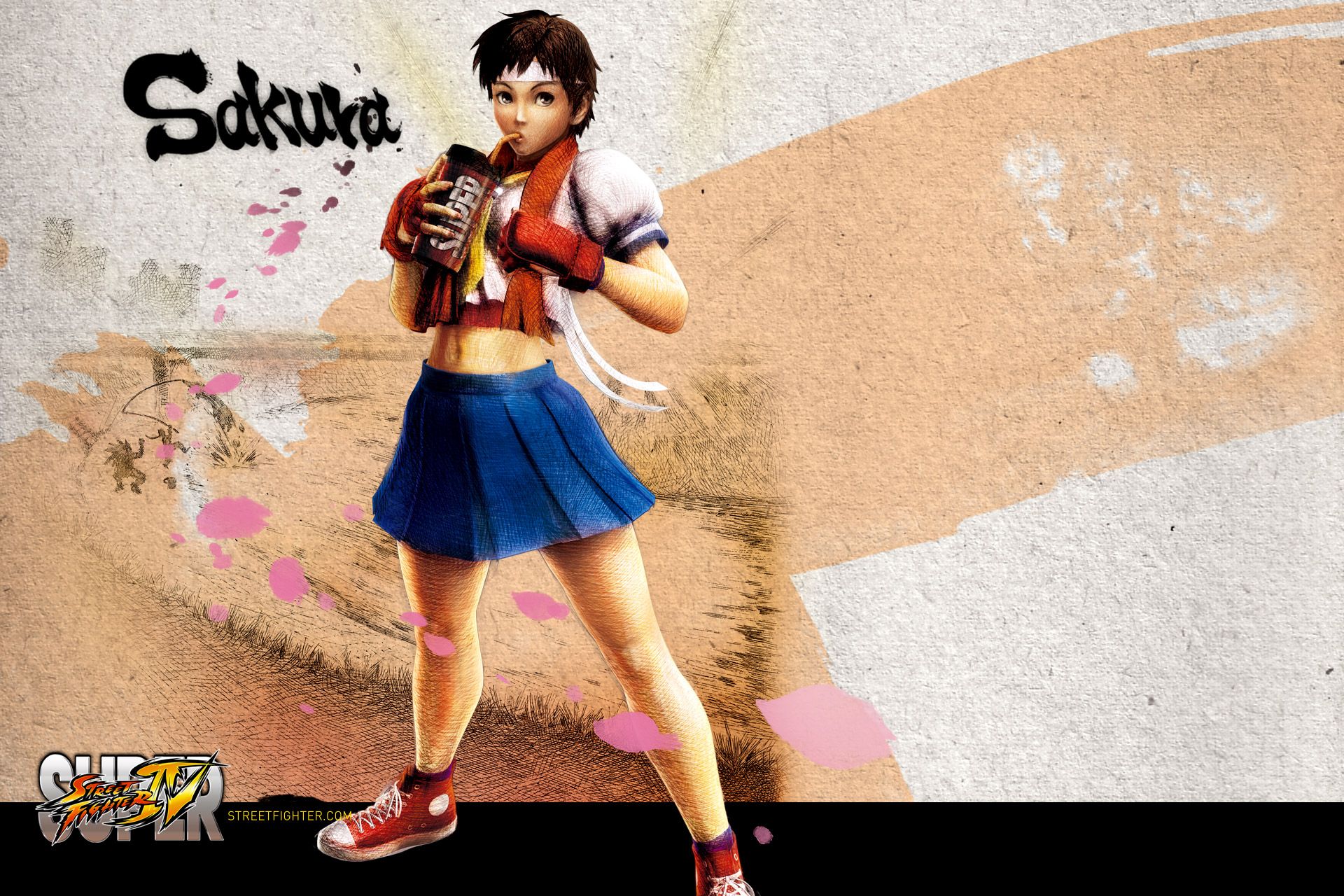 Sakura Wallpaper Street Fighter