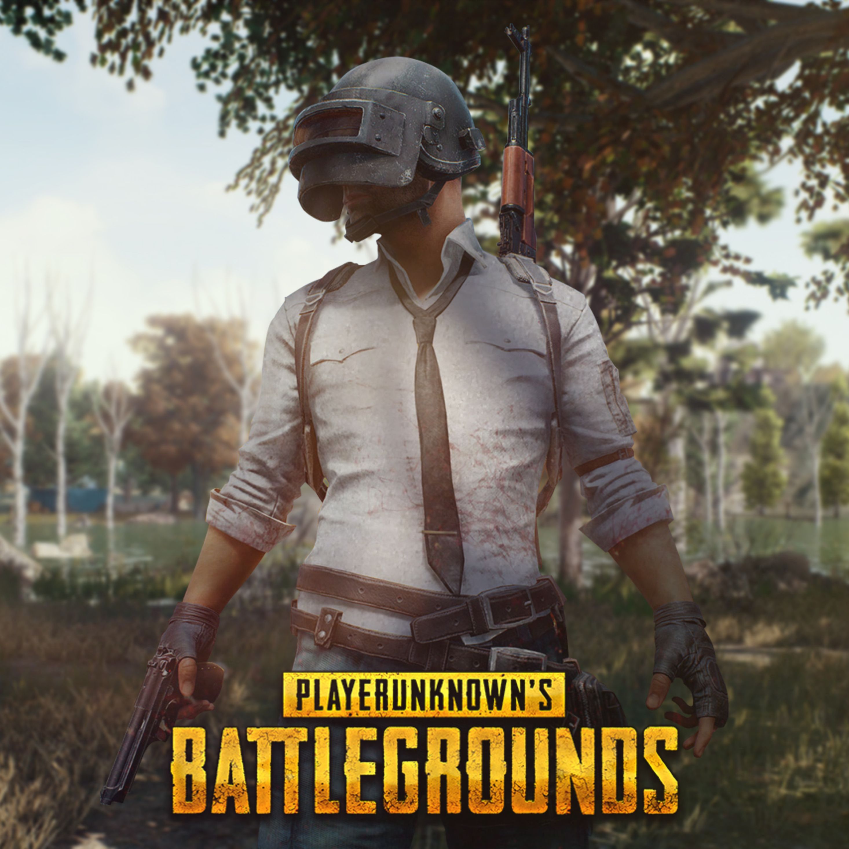 Pubg Mobile Helmet Guy iPad Pro Retina Display HD 4k Wallpaper, Image, Background, Photo and Picture