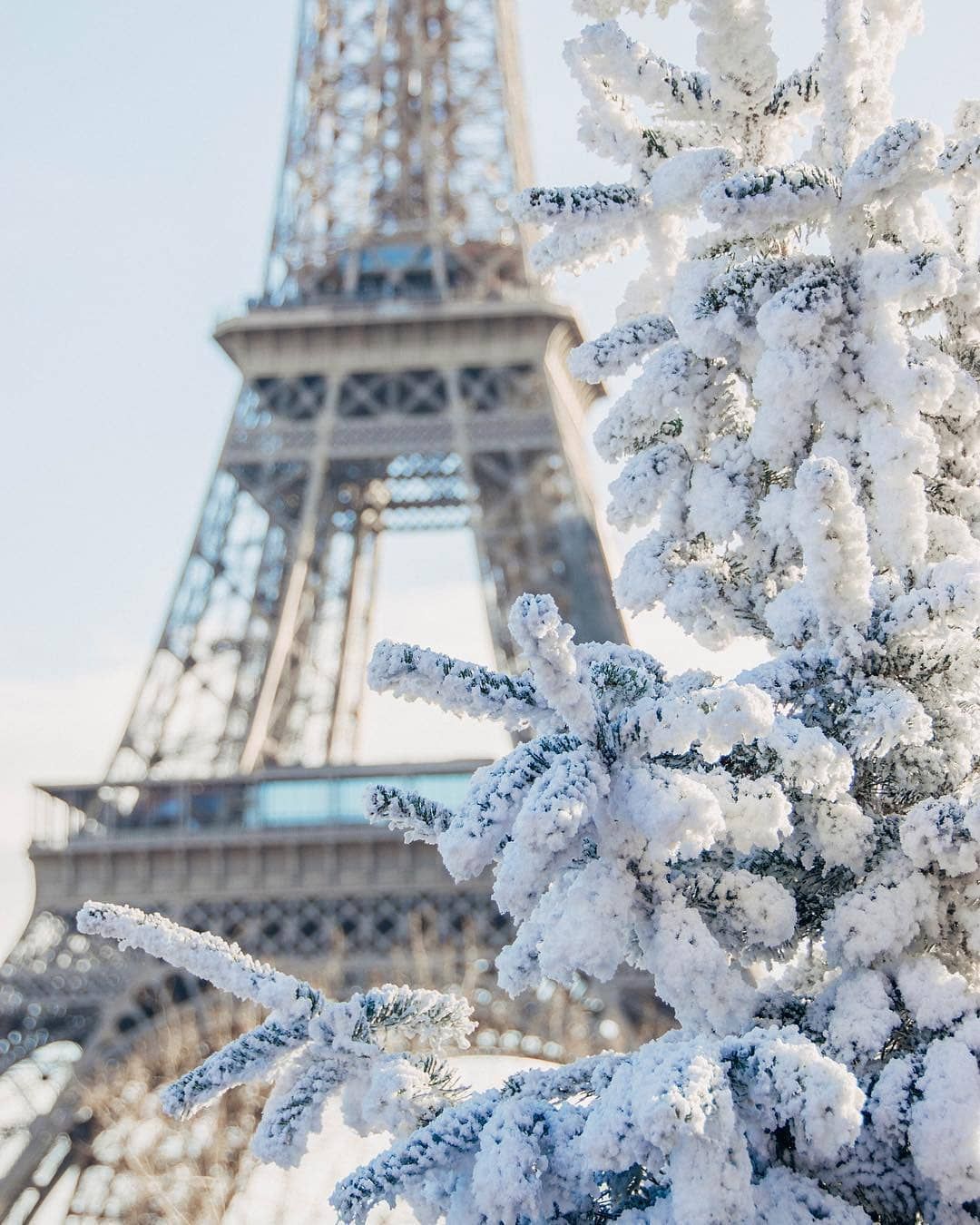 Pin De Yvette En All Things Winter Christmas. Fondos De Pantalla Paris, Paris En Invierno, Paris Ciudad