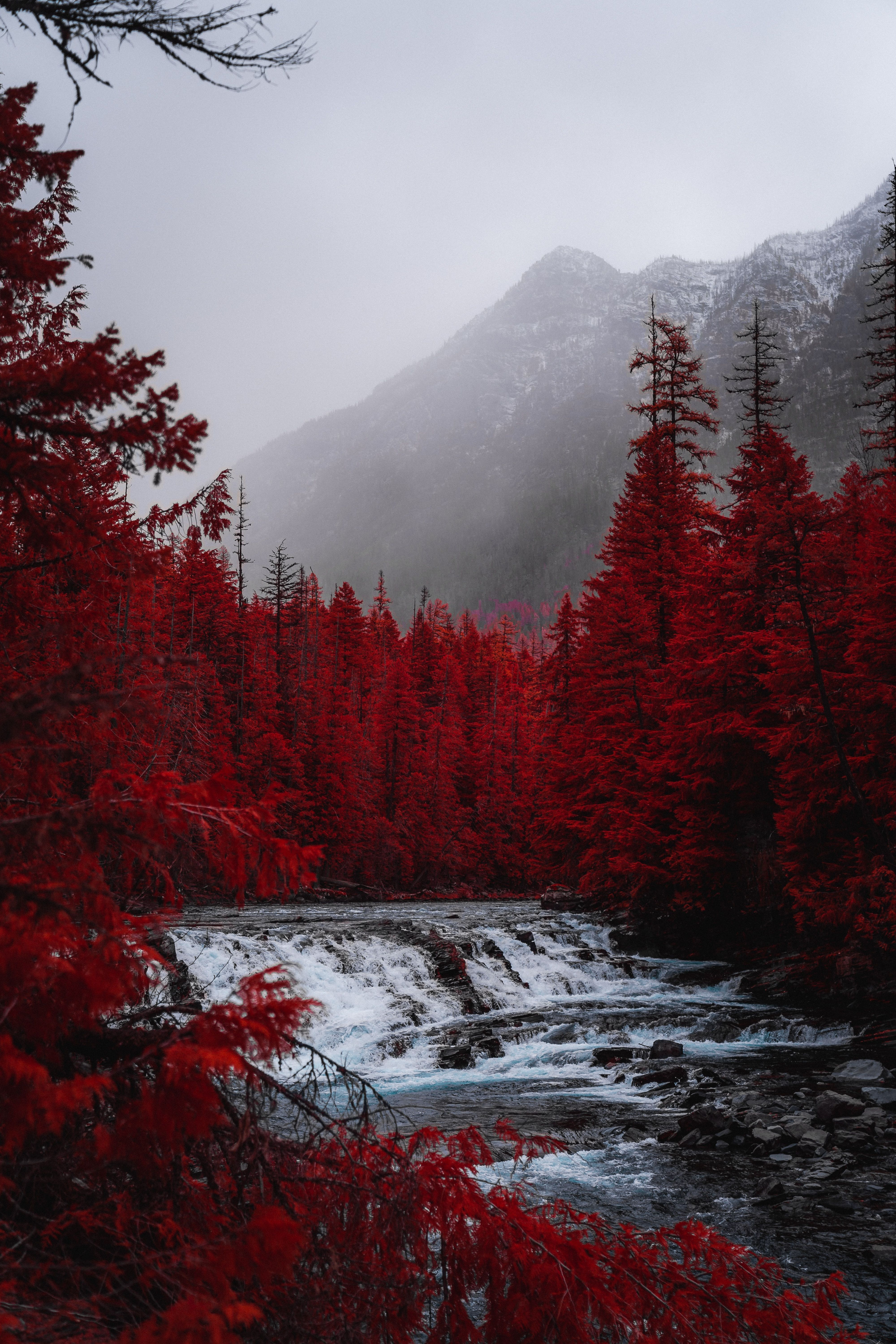 Beautiful Places: VSCO Wallpaper. Still life photography, Aesthetic background, Red aesthetic