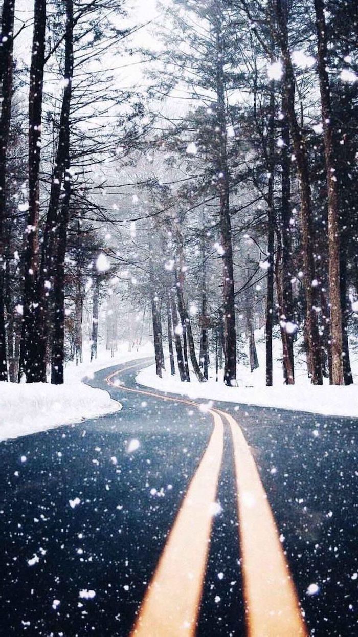winter wallpaper and background to decorate your screen with
