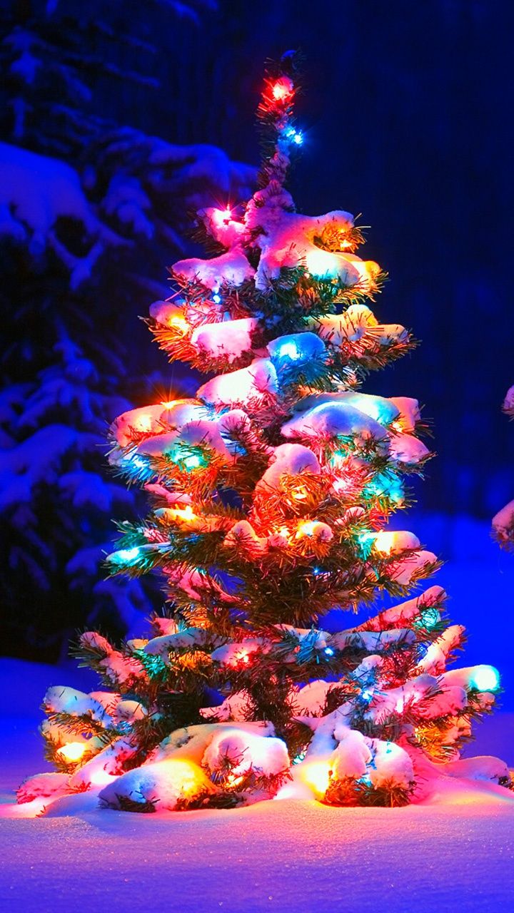Christmas Tree Lights Wallpapers