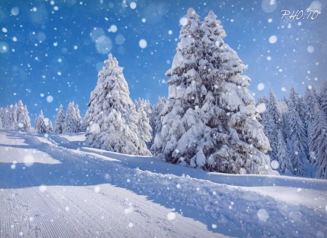 Snow Falling Winter Scene Wallpapers - Wallpaper Cave