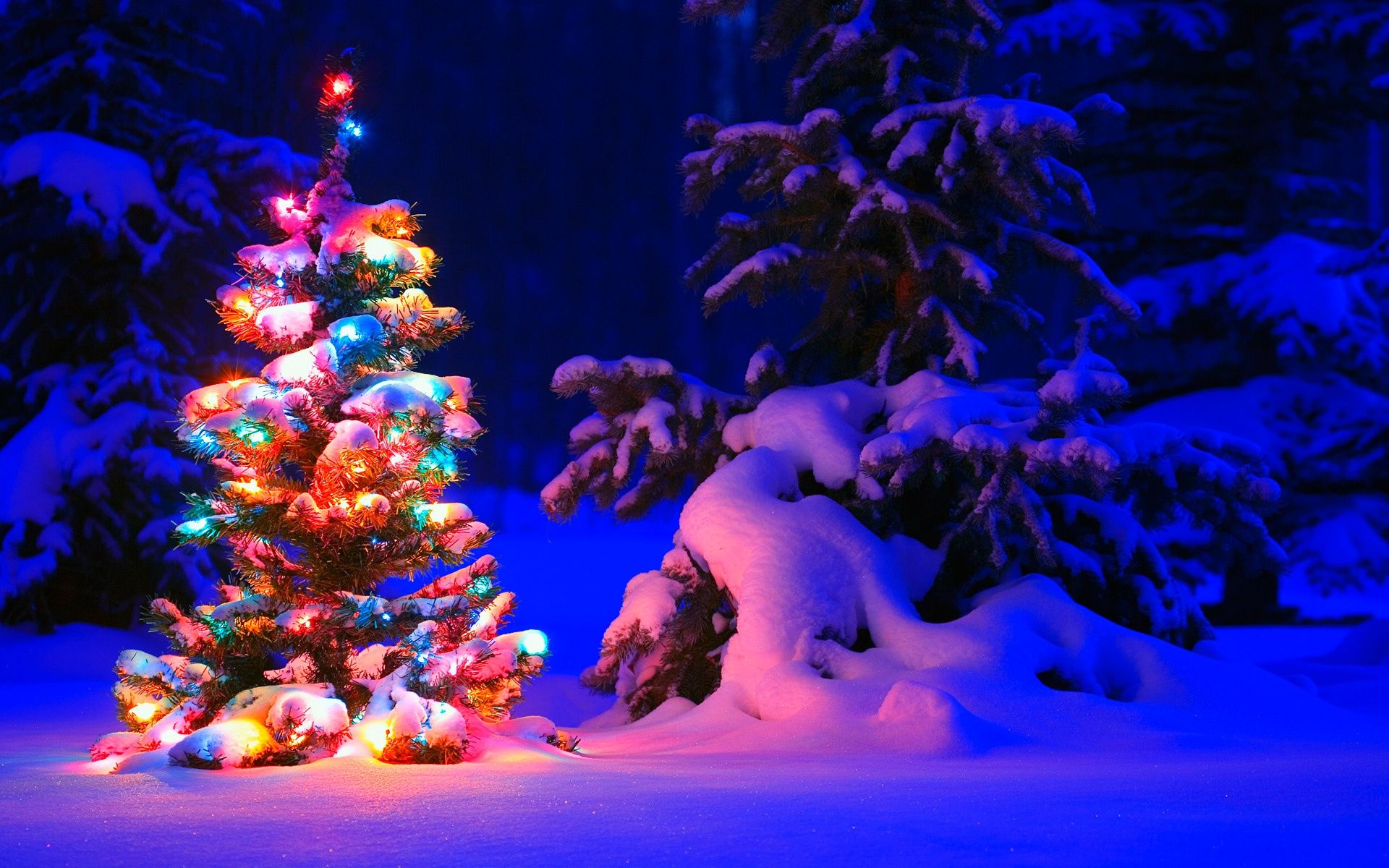 Snowy Christmas Tree Lights Wallpaper in jpg format for free download