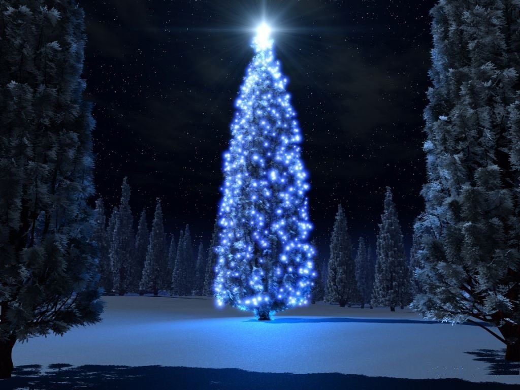 Free Wallpaper for Desktop: Christmas tree lights in the woods
