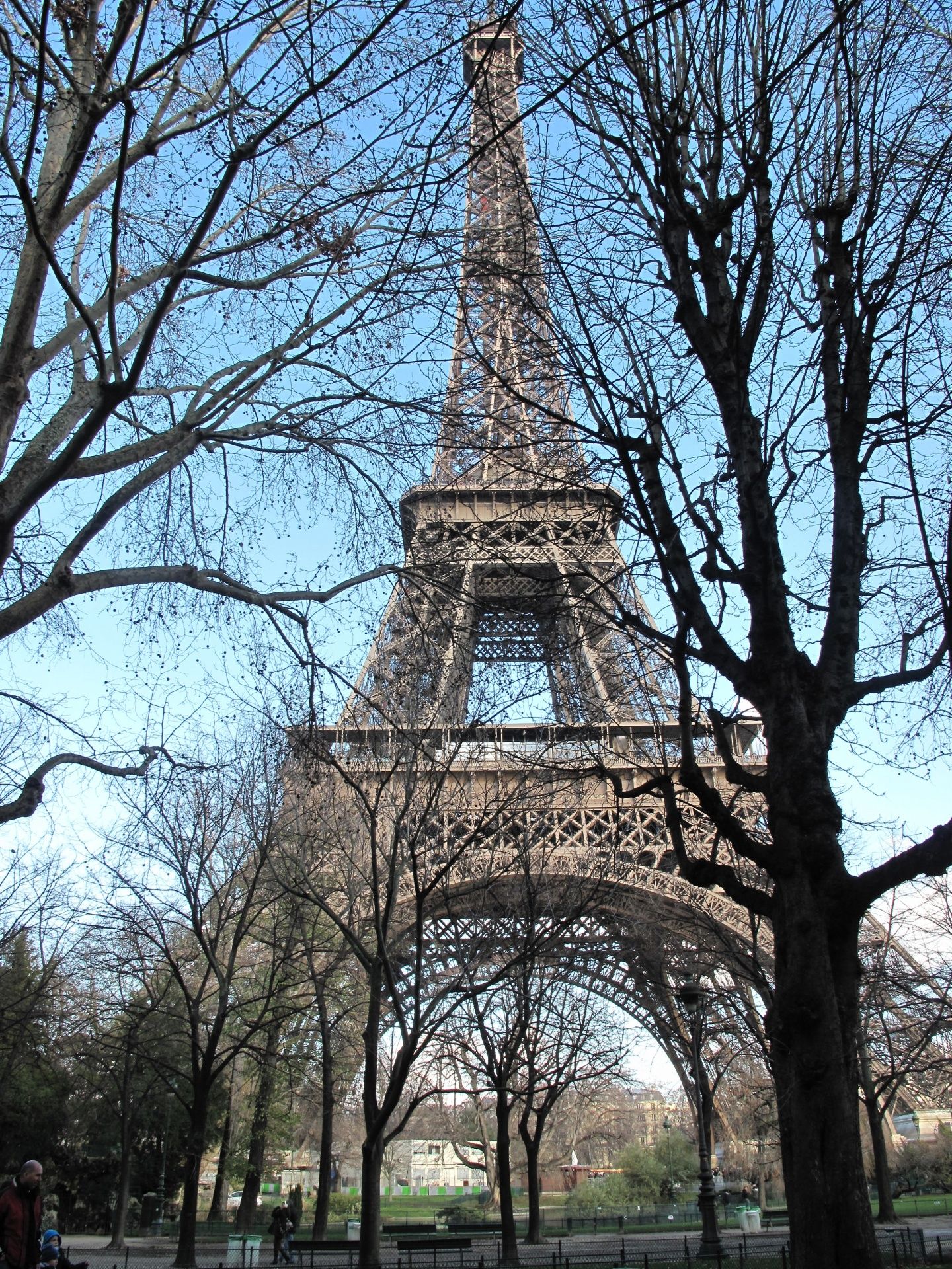Download free photo of Eiffel tower, paris, france, winter, trees