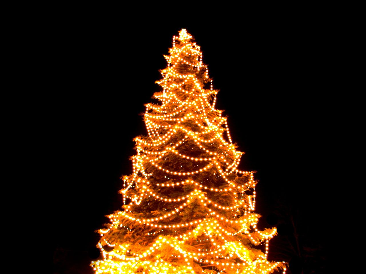 Best HD Christmas Tree Lights Wallpaper