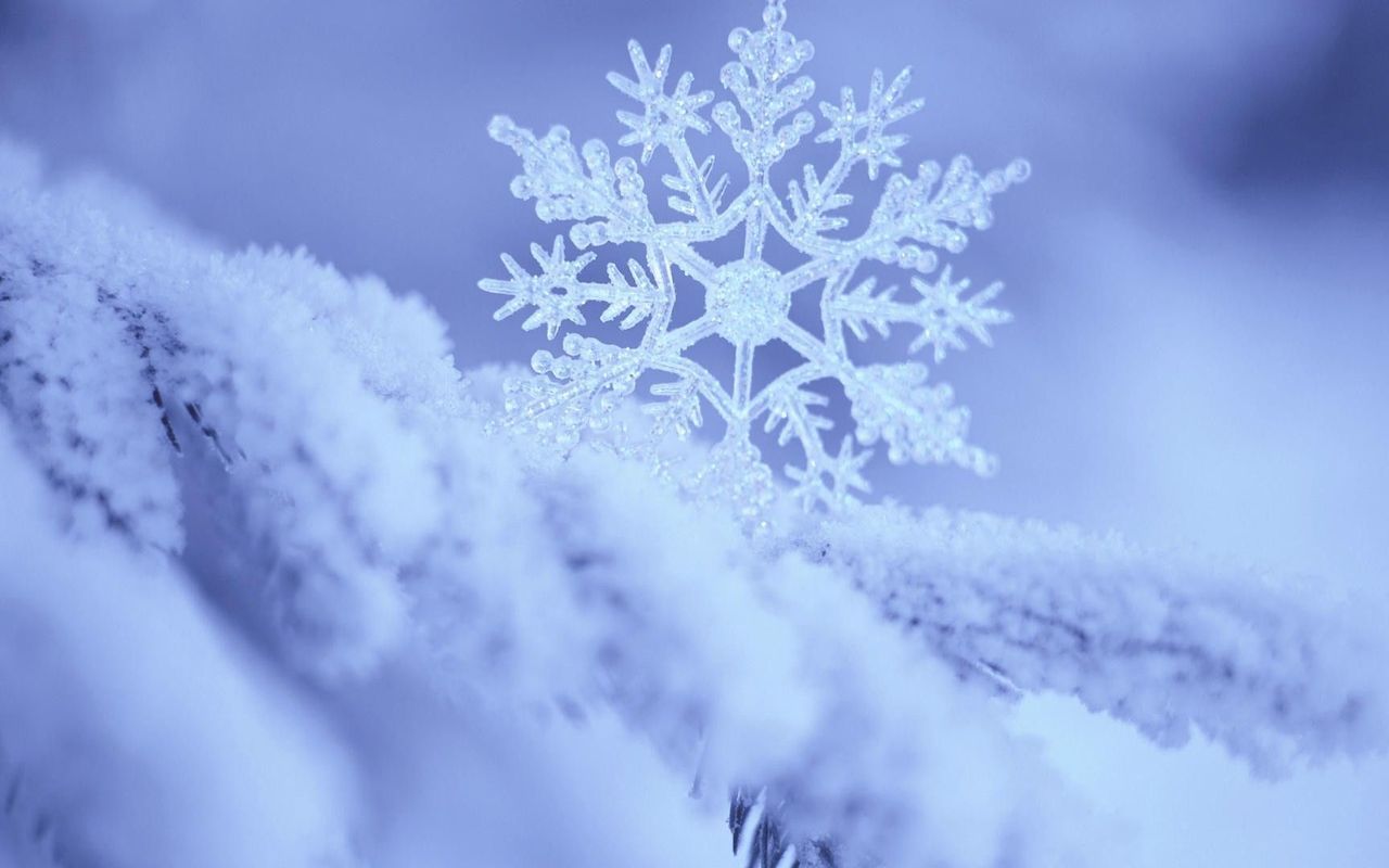 Snowflake Wallpaper Image
