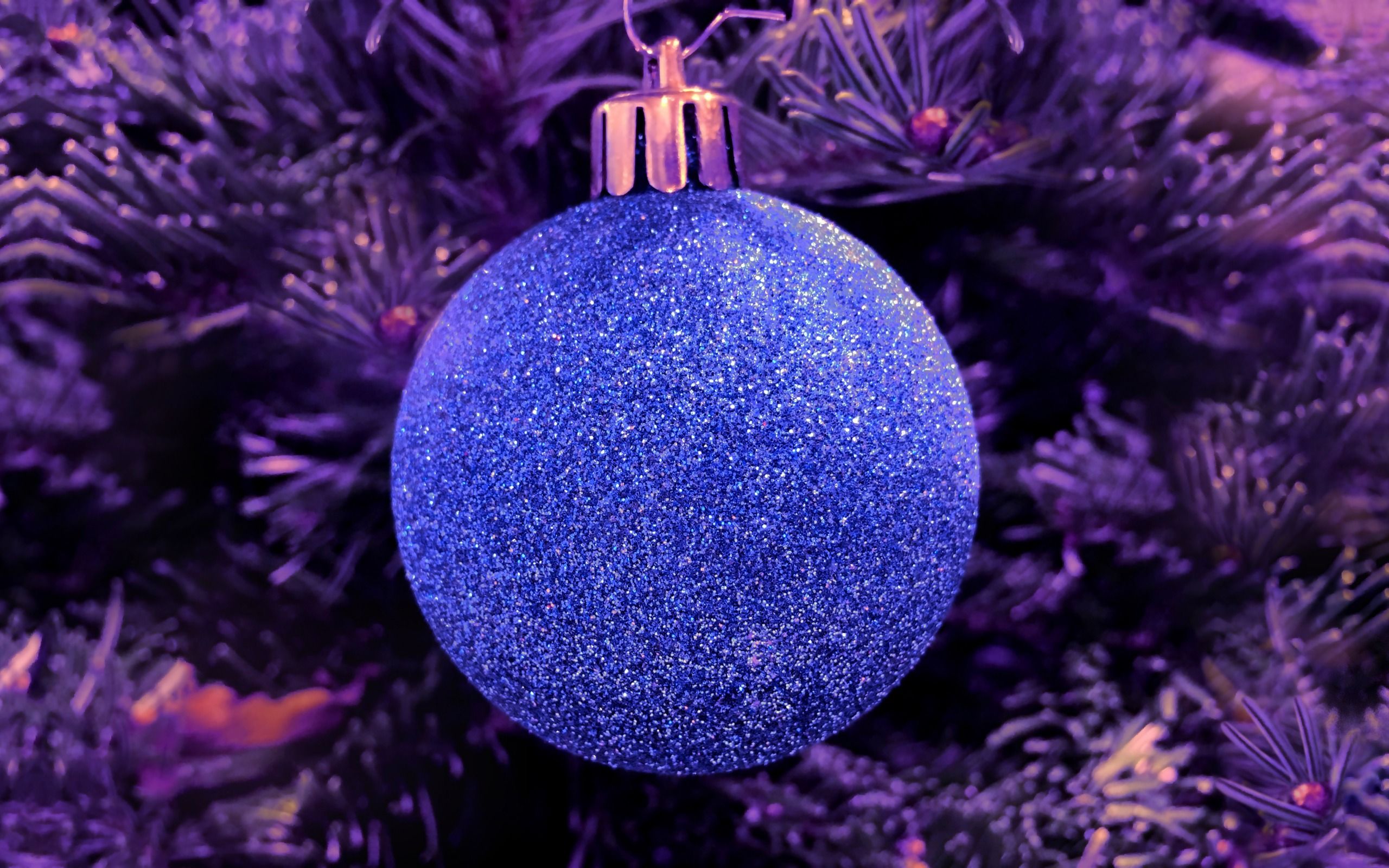 Download wallpaper blue christmas ball, New Year, Christmas, Purple Christmas tree for desktop with resolution 2560x1600. High Quality HD picture wallpaper