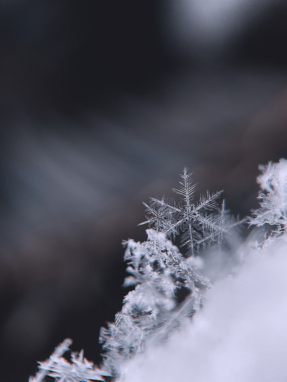 Best Snowflake Picture [HD]. Download Free Image