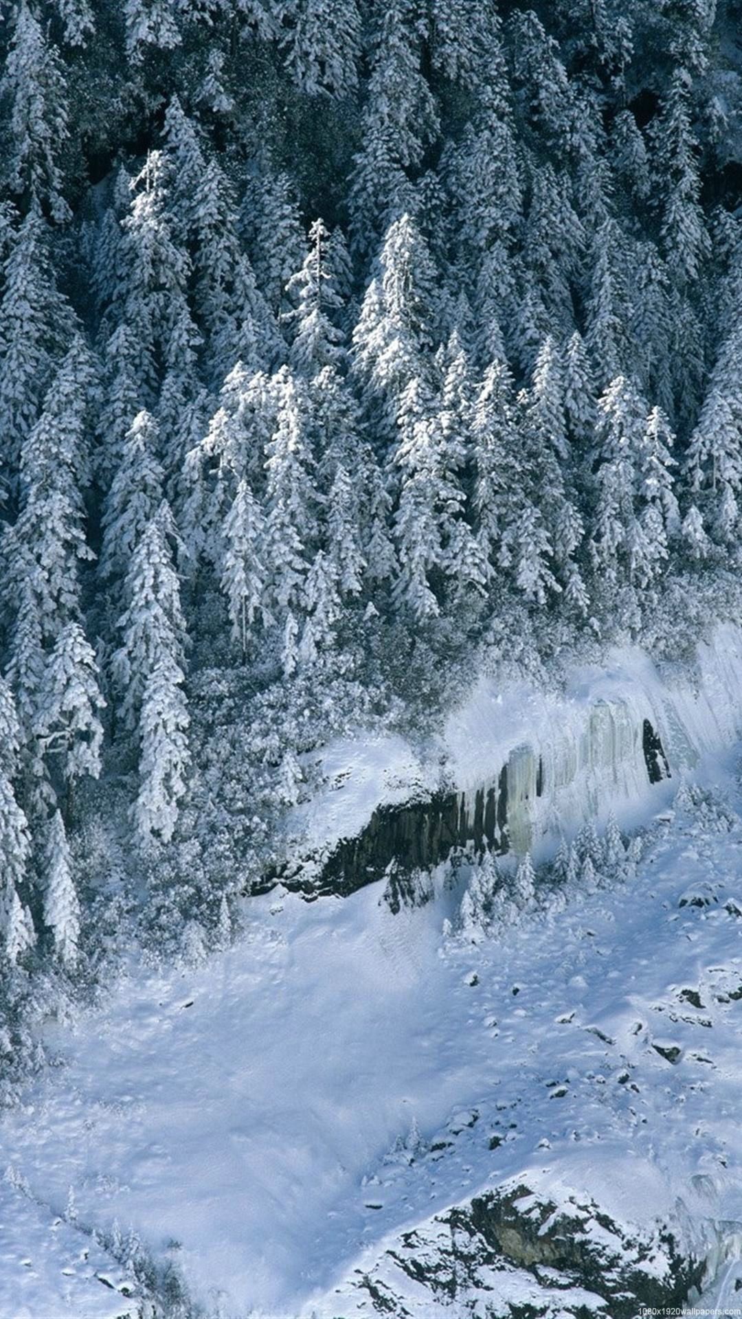 Winter Nature Wallpaper HD