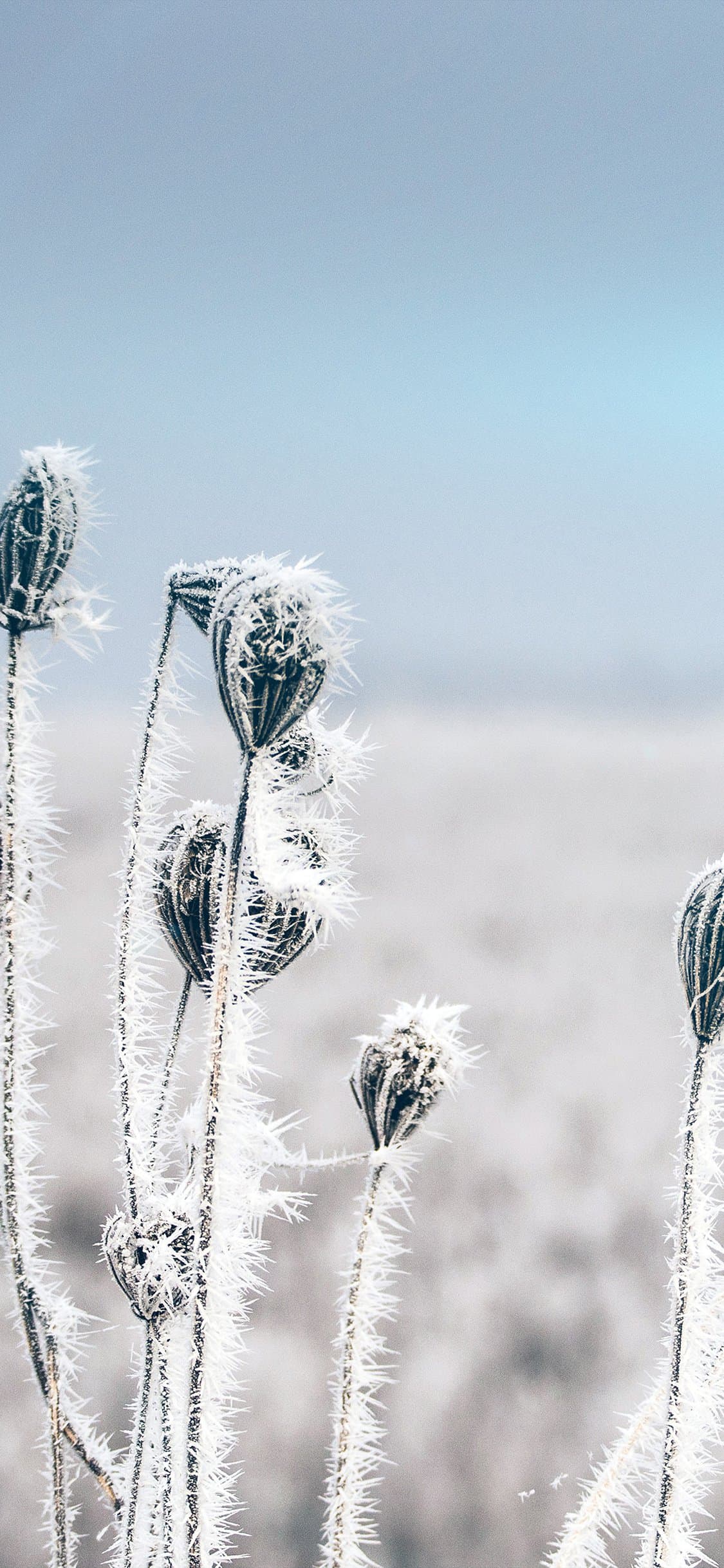 Download 4K Winter Wallpaper