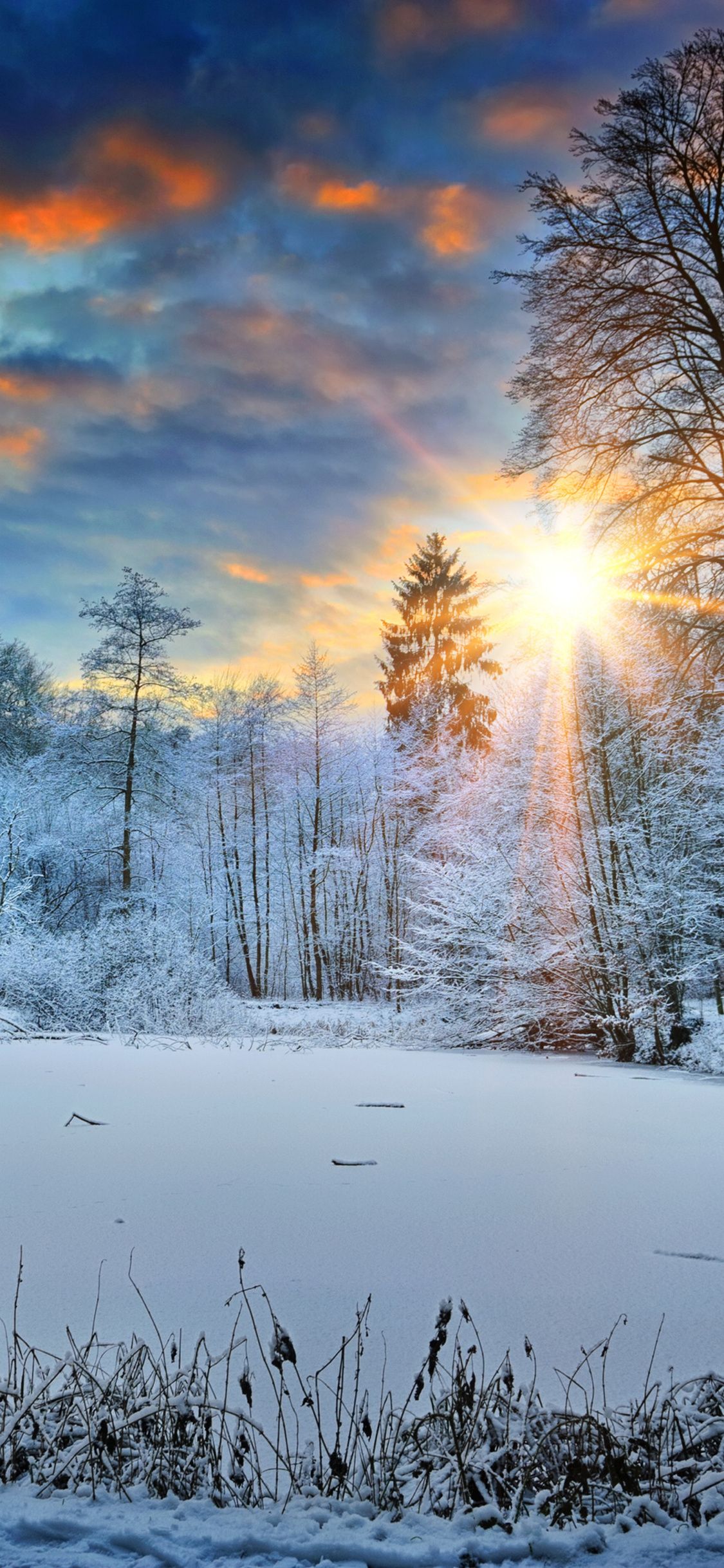 Sunbeams Landscape Snow In Winter Trees 4k iPhone XS, iPhone iPhone X HD 4k Wallpaper, Image, Background, Photo and Picture