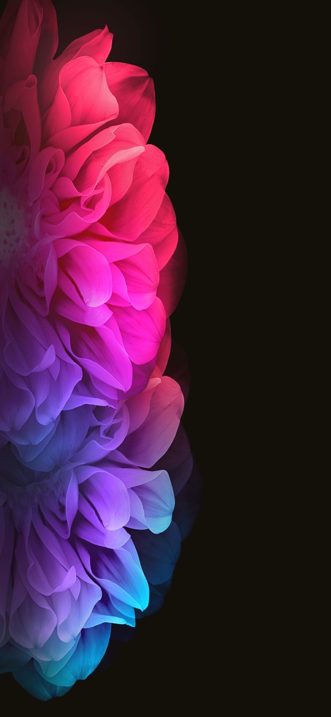 Flower Amoled Phone Wallpapers - Wallpaper Cave