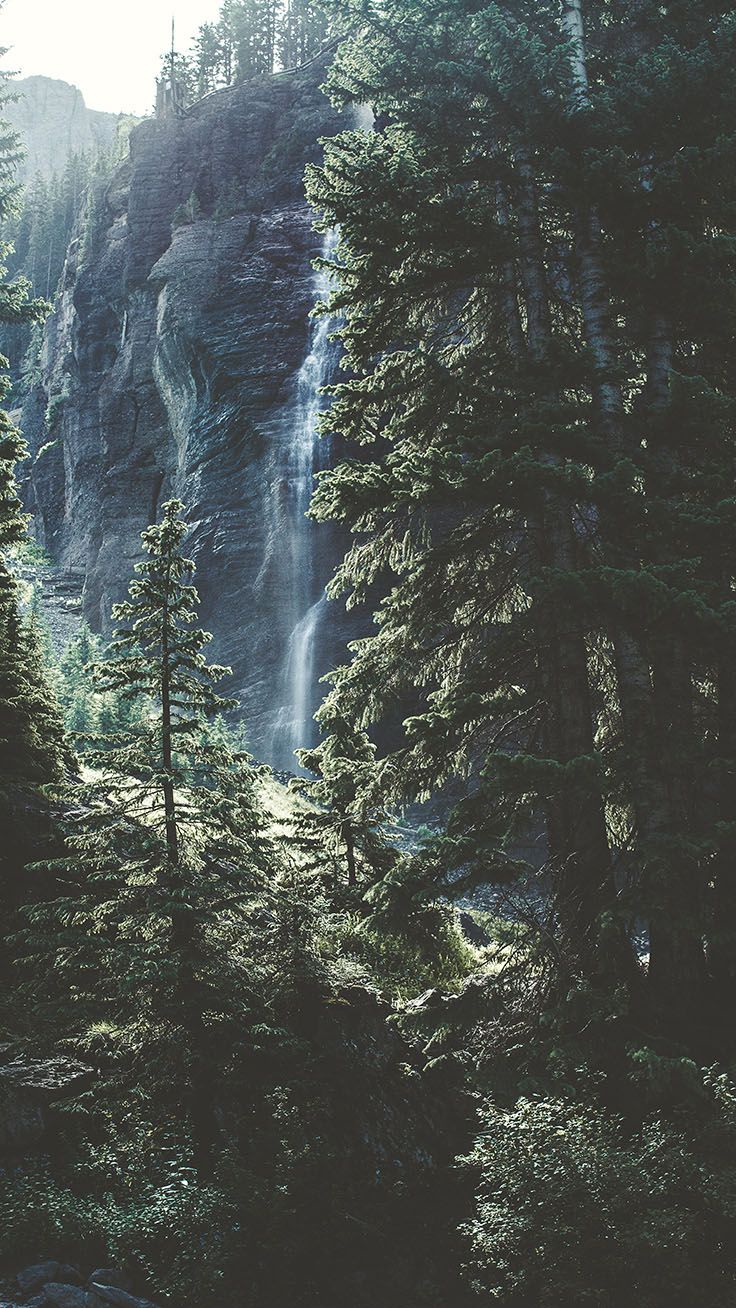 Bringing The Forest To You With 9 Free iPhone X Wallpaper