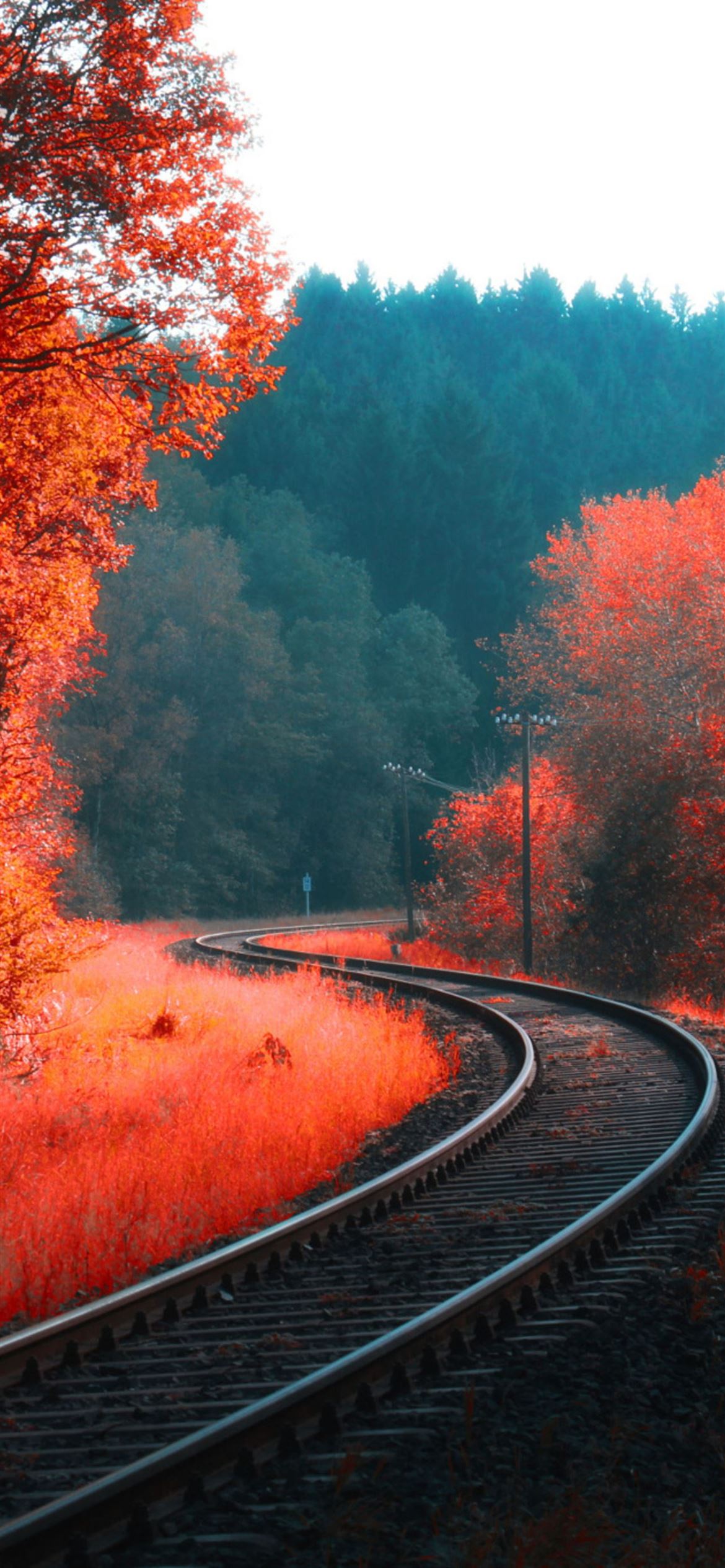 railway autumn forest iPhone 12 Wallpaper Free Download