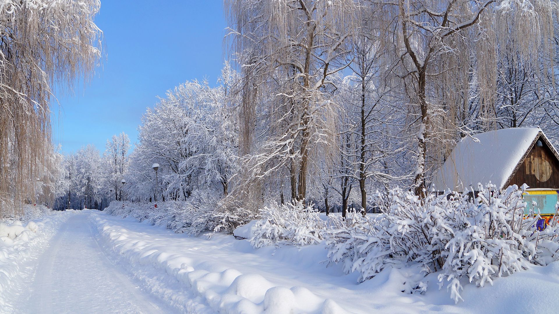 Beautiful snowy Russian winter (HD wallpaper)