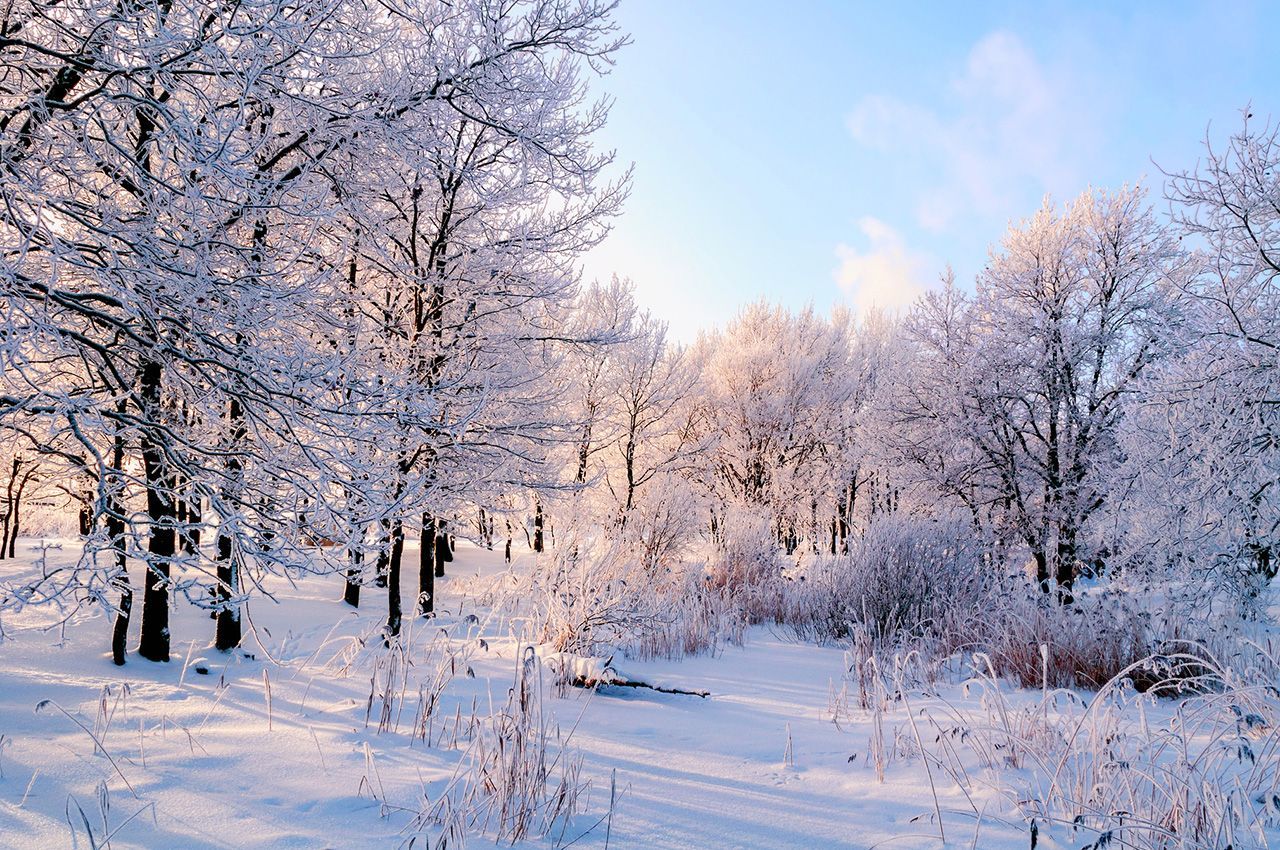 Russian Winter. Russian landscape, Winter landscape, Russian winter