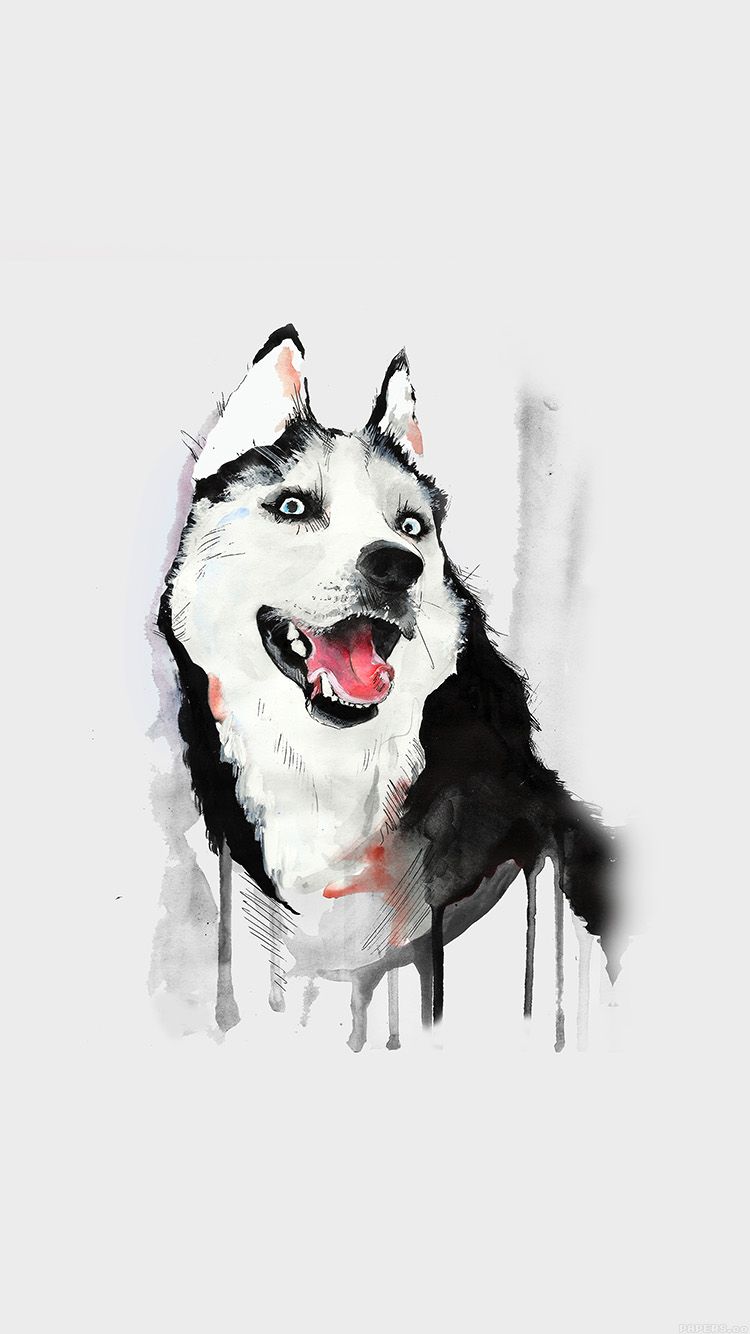iPhone7 wallpaper. happy dog white husky animal illust watercolor